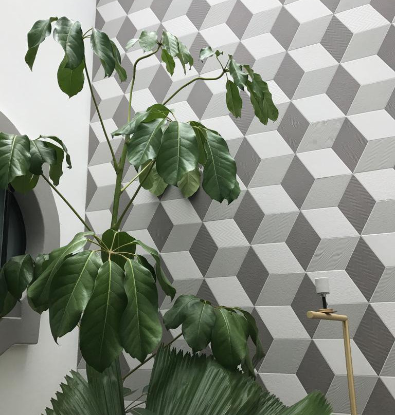 Margarita Hotel & Fonda Boutique主图