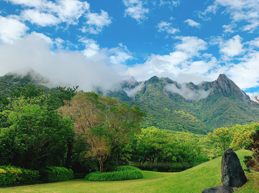 屋久岛岩崎酒店主图