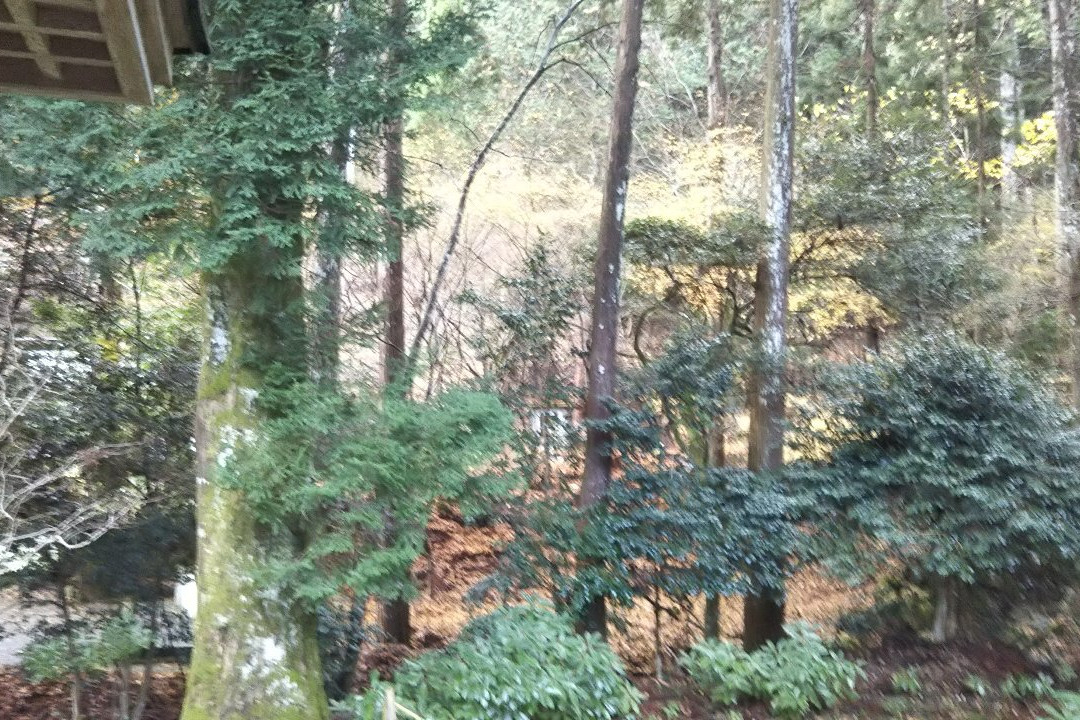 Myotsu-ji Temple景点图片