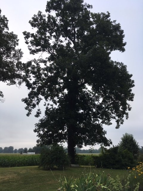 The Hague Winery-Hague必去景点