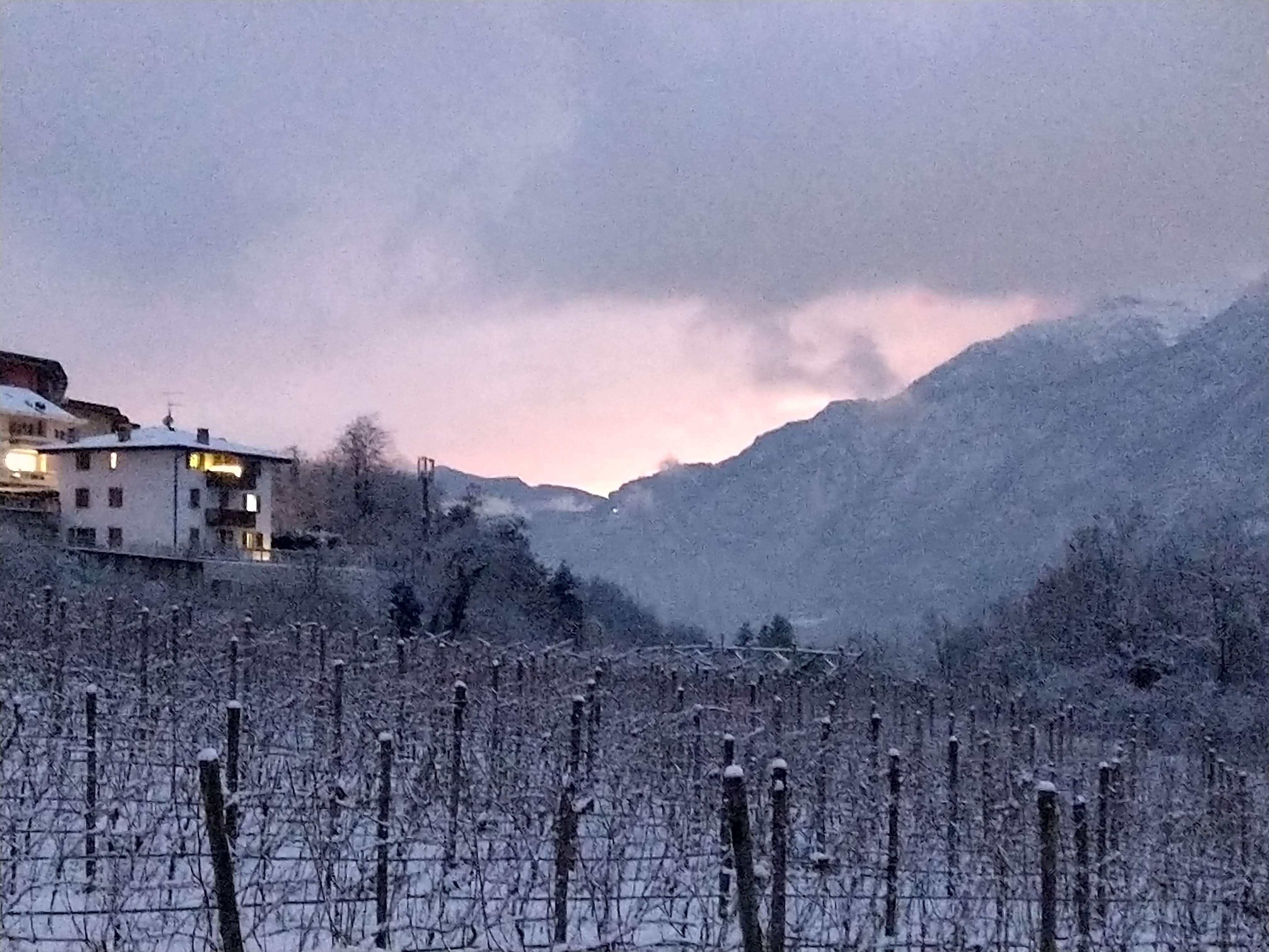 Agritur Ponte Alto-酒店景观