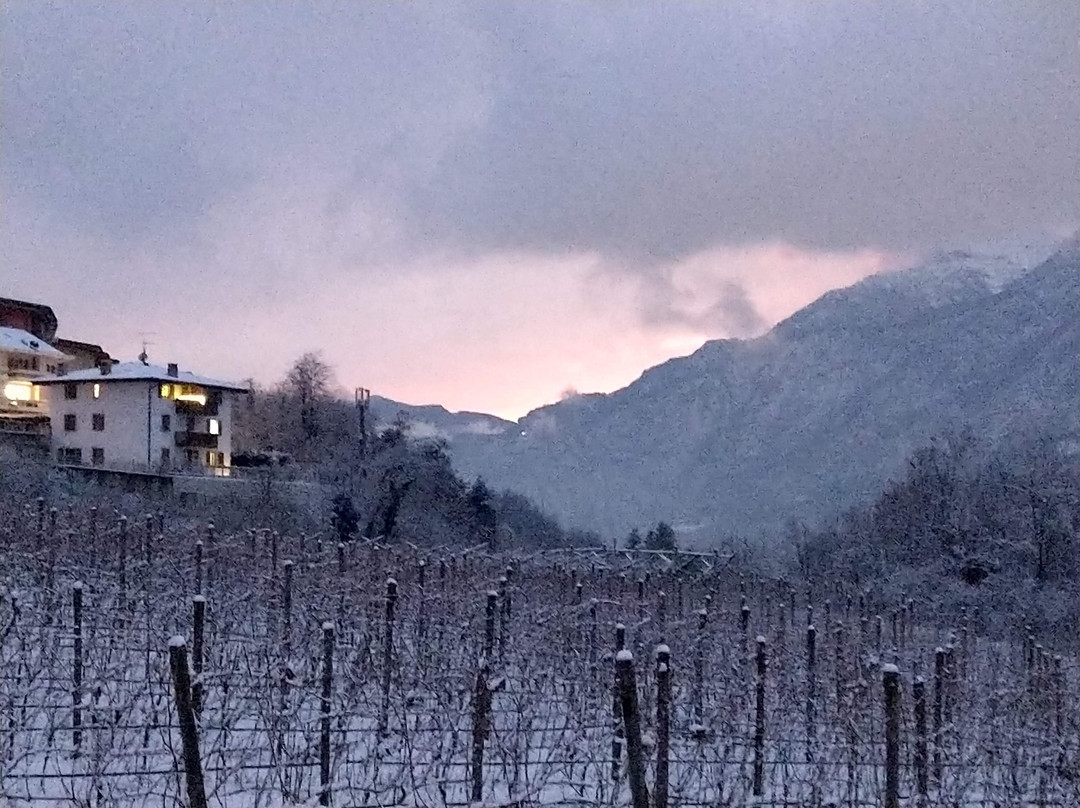 Agritur Ponte Alto主图