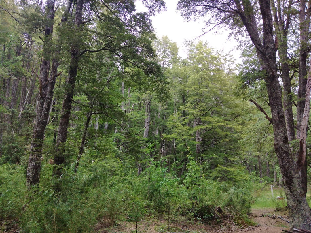 Termas Canon del Blanco-Curacautin必去景点