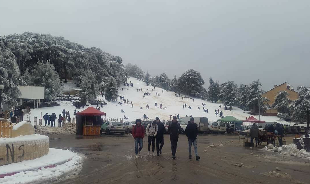 Ski Club景点图片