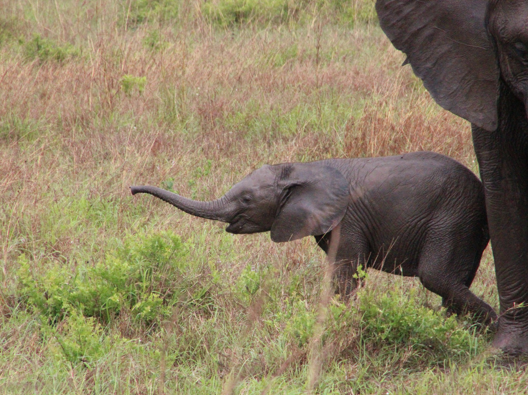 Safaris Partners-莫洛哥罗必去景点