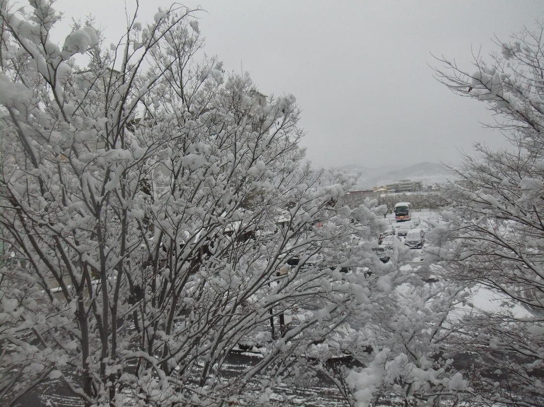 Hotel Apple Land主图