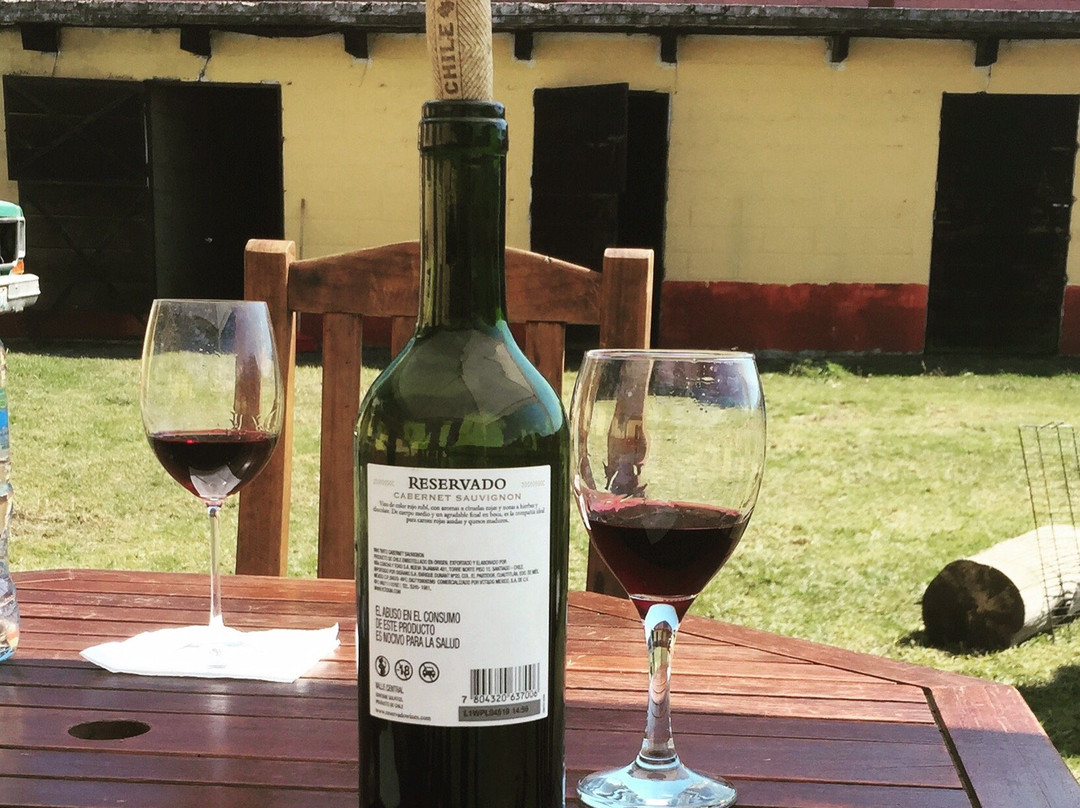 Torres, Equestrian Adventures-墨西哥城必去景点