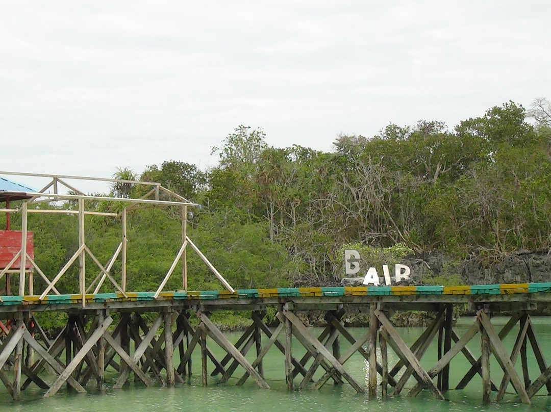 Bair Island景点图片