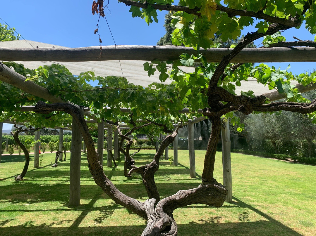 Sandalford Wines Swan Valley景点图片