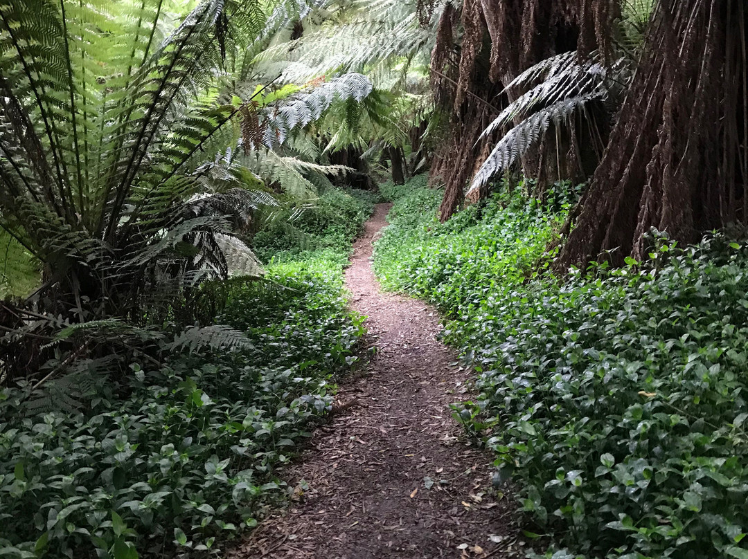 Turton Creek reserve-福斯特必去景点