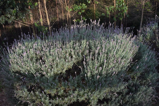 Pousada Sol Da Montanha主图