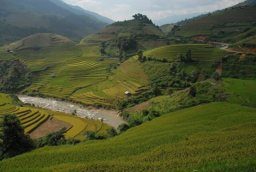 Khau Pha Pass-Mu Cang Chai必去景点