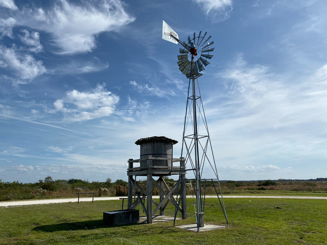 Twin Oaks Conservation-基西米必去景点