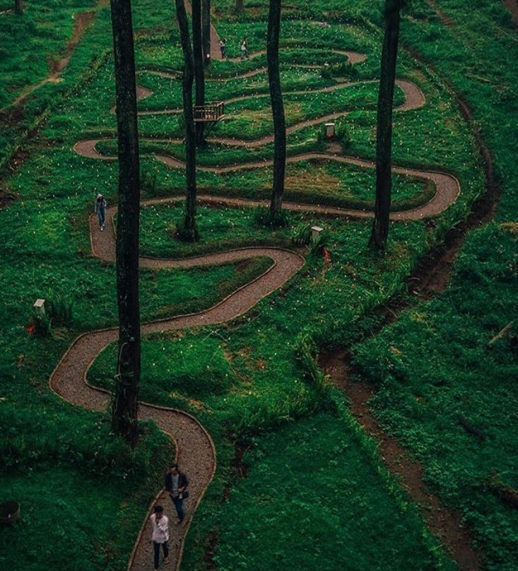 Orchid Forest Cikole-Cikole必去景点