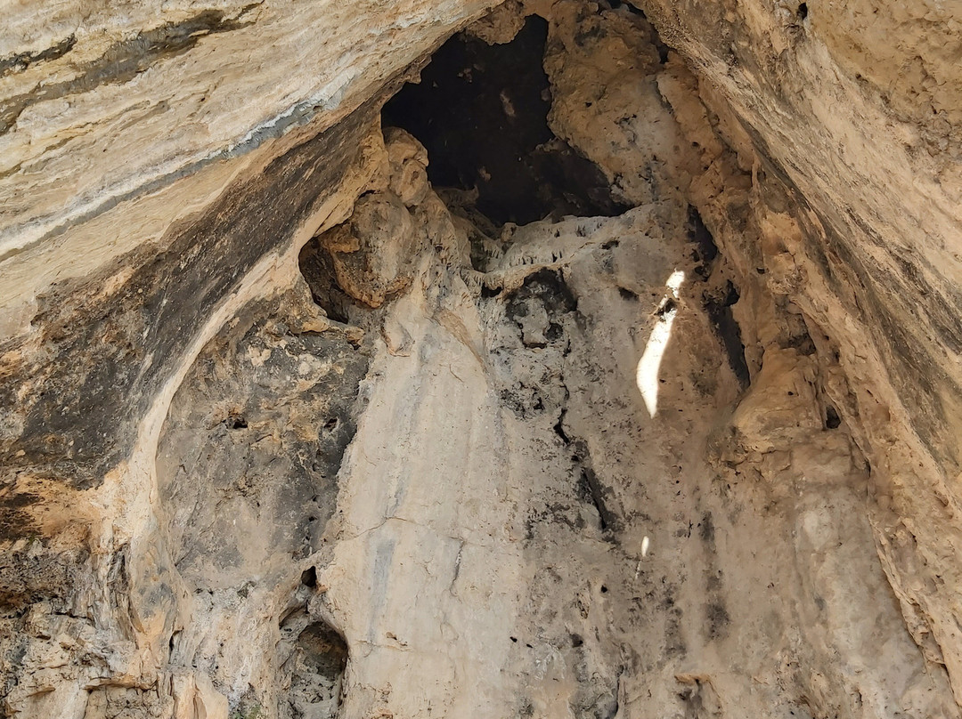 Cueva del Parpallo-甘迪亚必去景点