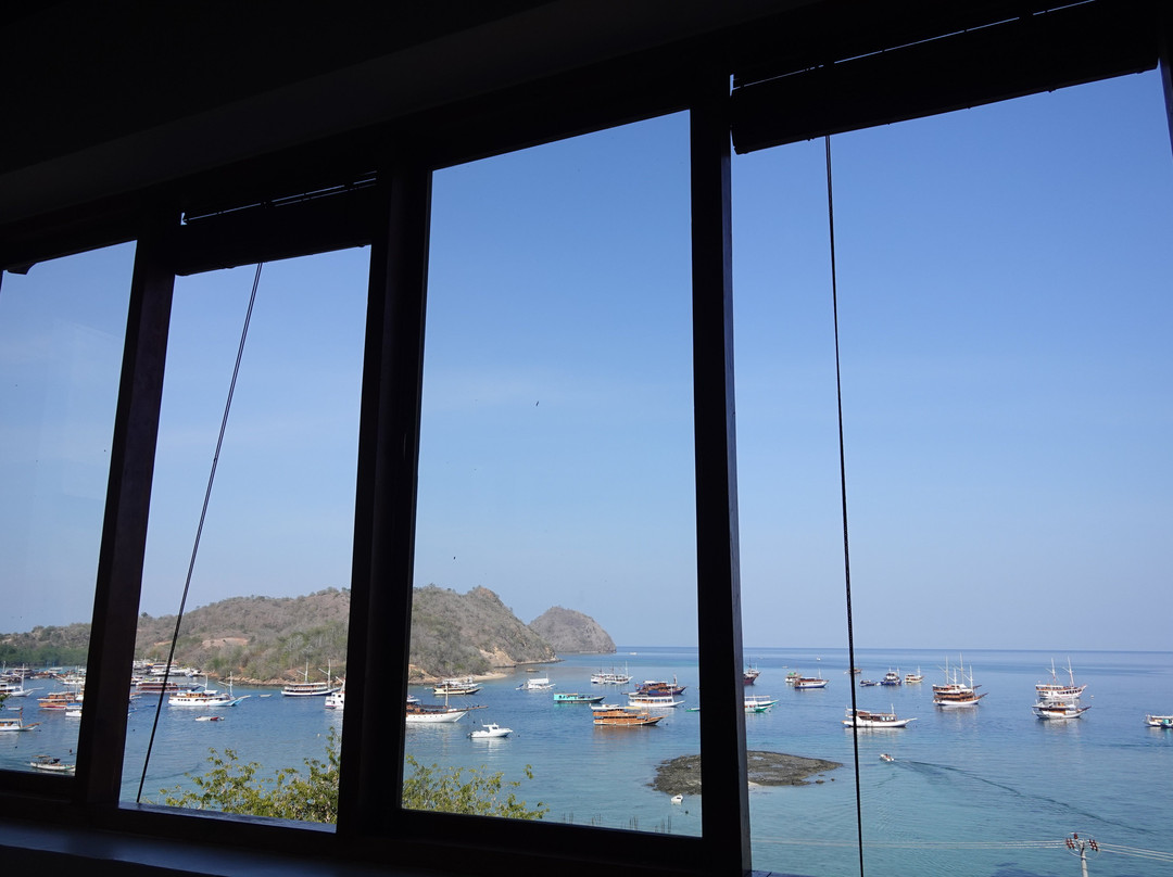 蓝鹦鹉酒店主图