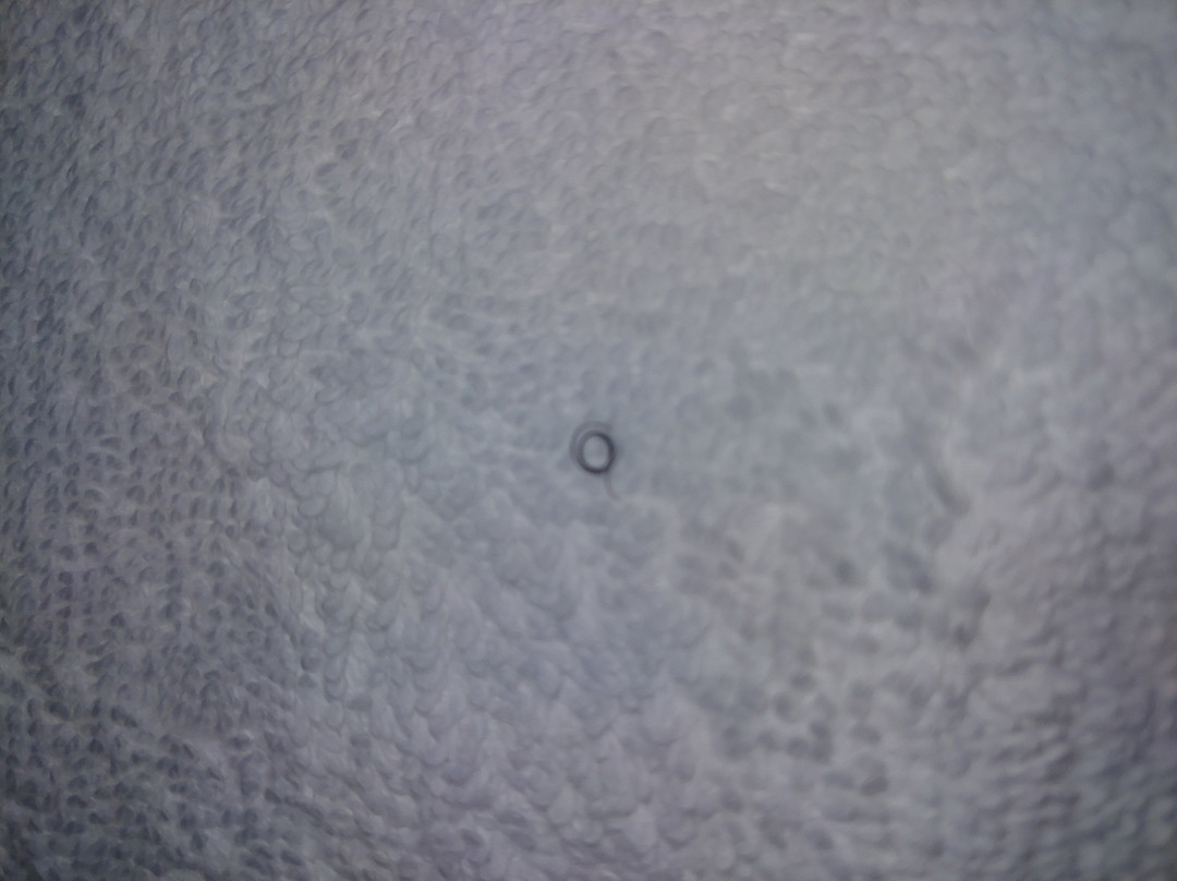 Holiday Inn Express & Suites Charlotte Southeast - Matthews by IHG主图