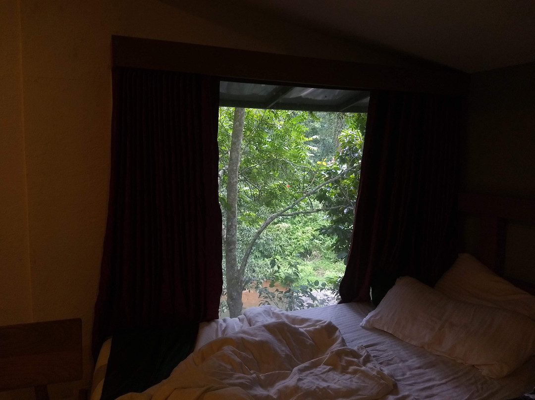 Jungle Beats Resorts主图