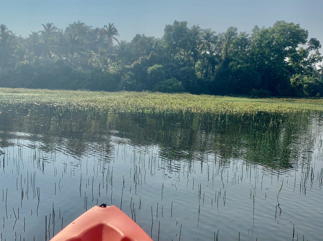 Goa Kayaking景点图片