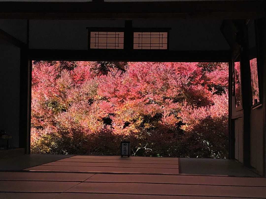 Ankokuji Temple-丰冈市必去景点