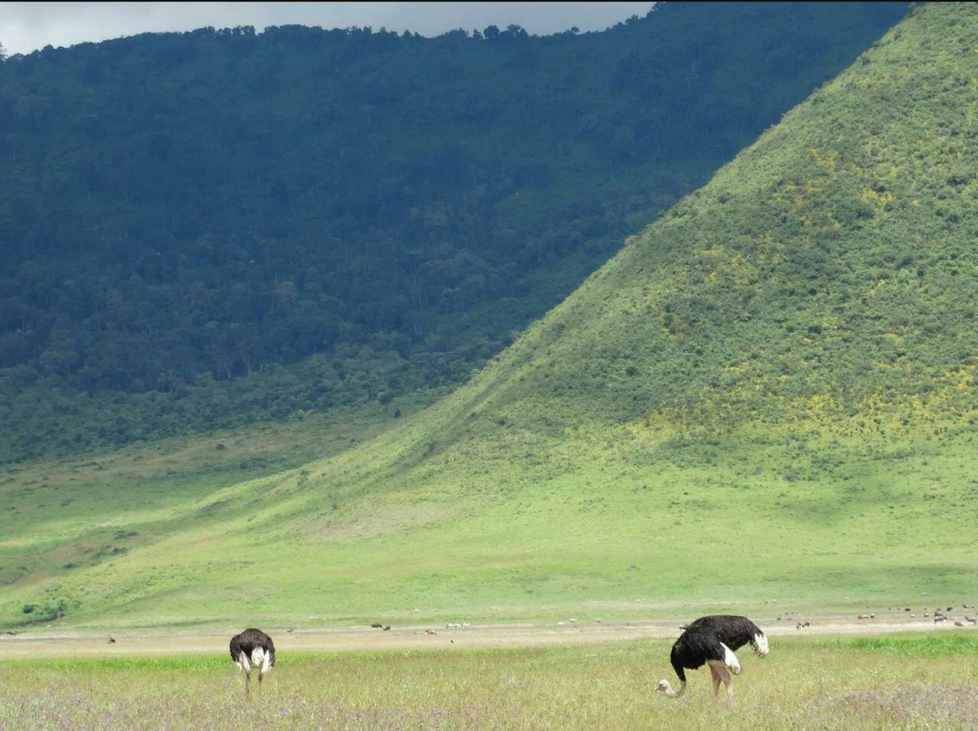 Mangokili Adventures-阿鲁沙必去景点