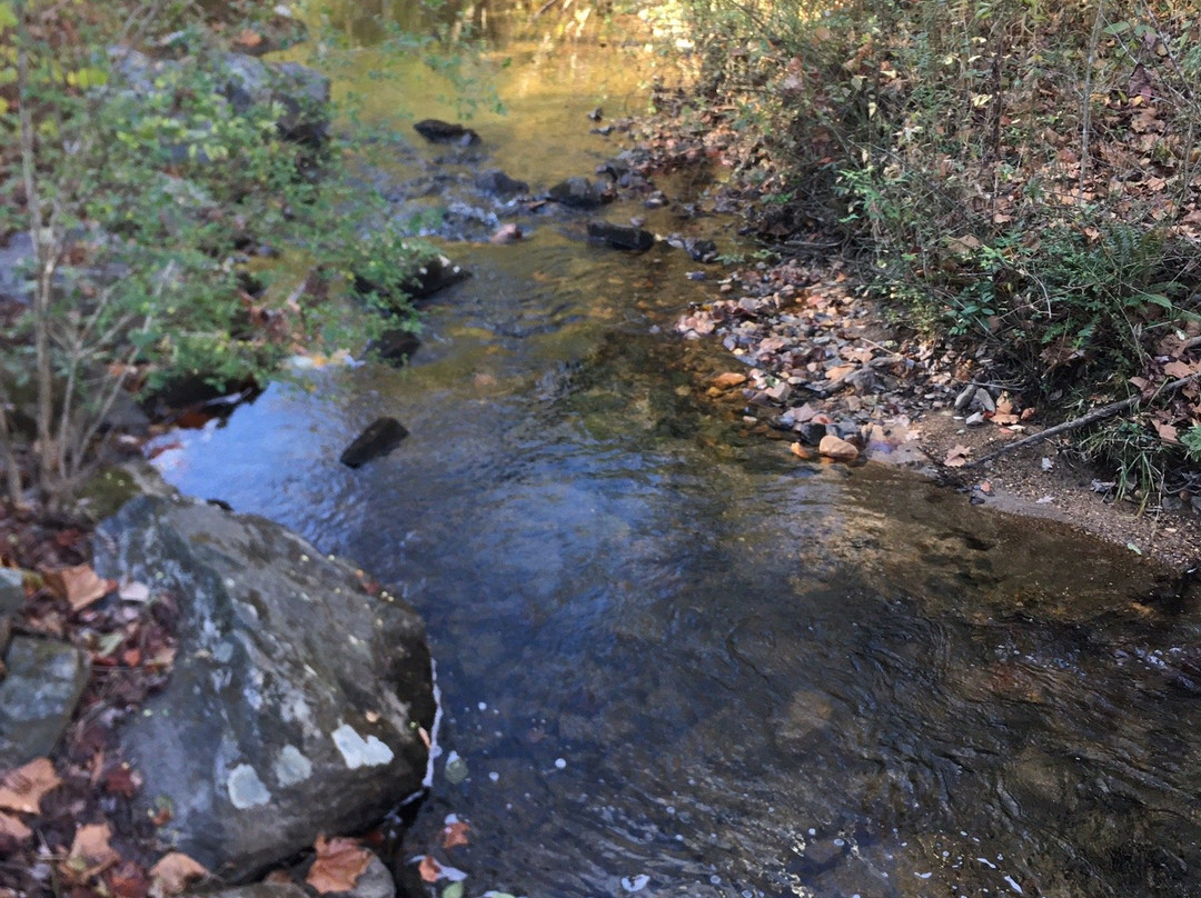 Cupid Fall Park-Young Harris必去景点