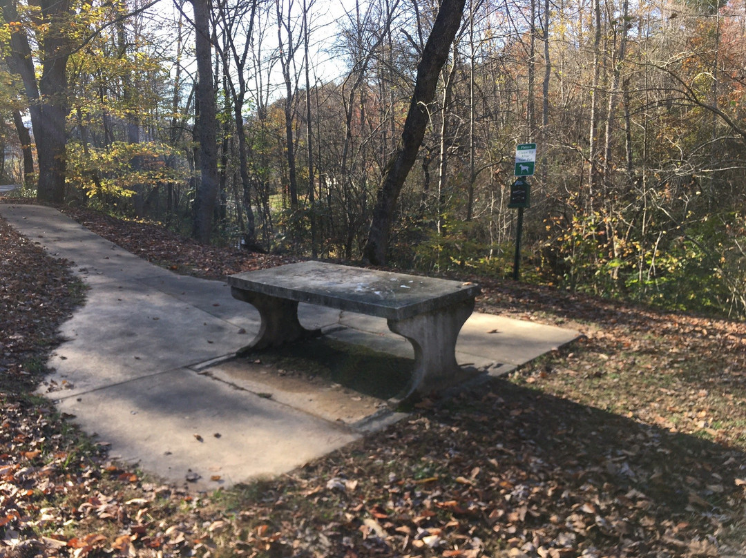 Cupid Fall Park-Young Harris必去景点