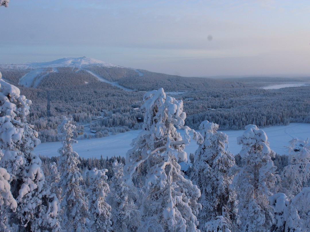 Lapland's Nature Experience-Kongas必去景点
