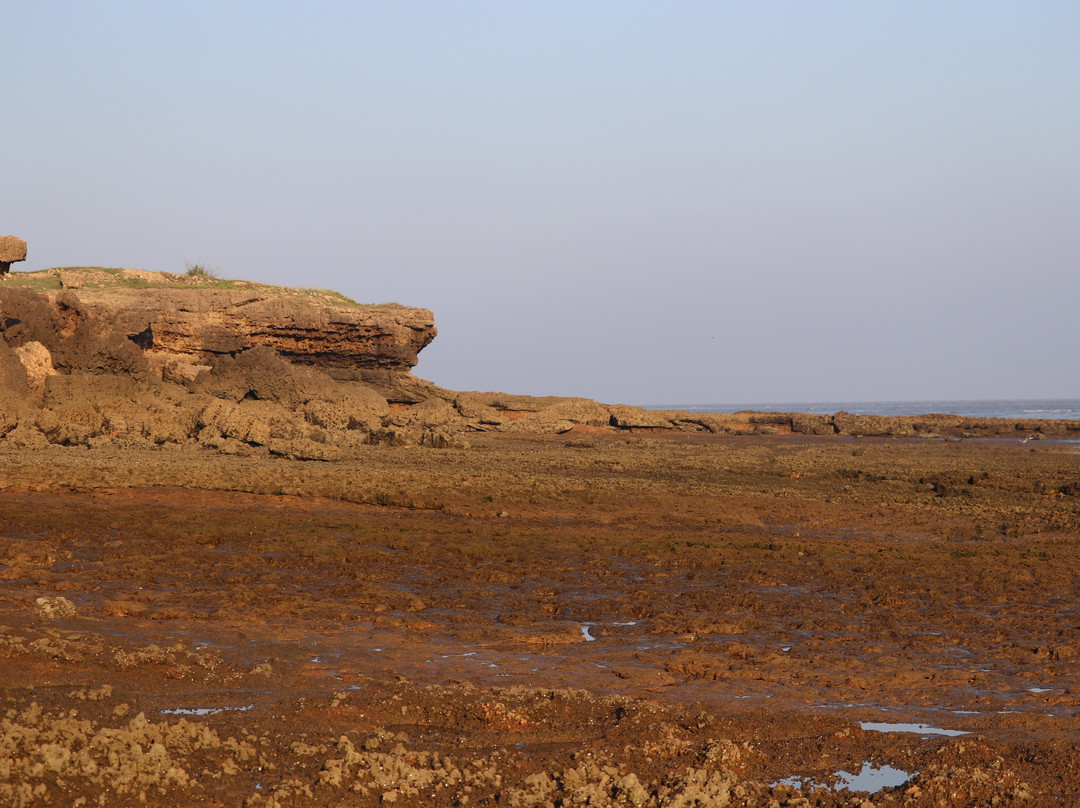 Gopnath Bungalow主图