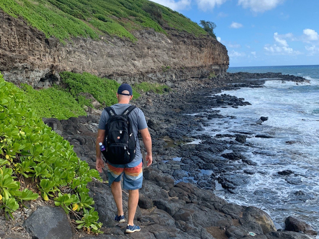Pools of Mokolea-基拉韦厄必去景点