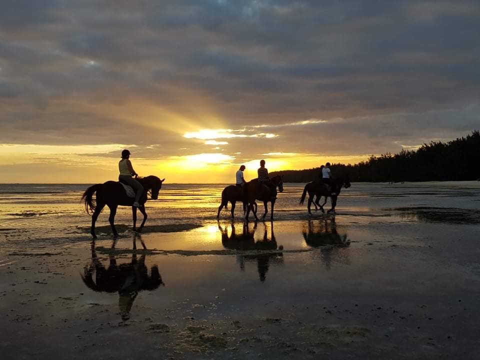 HORSE RIDING RIAMBEL- Centre Equestre De Riambel景点图片