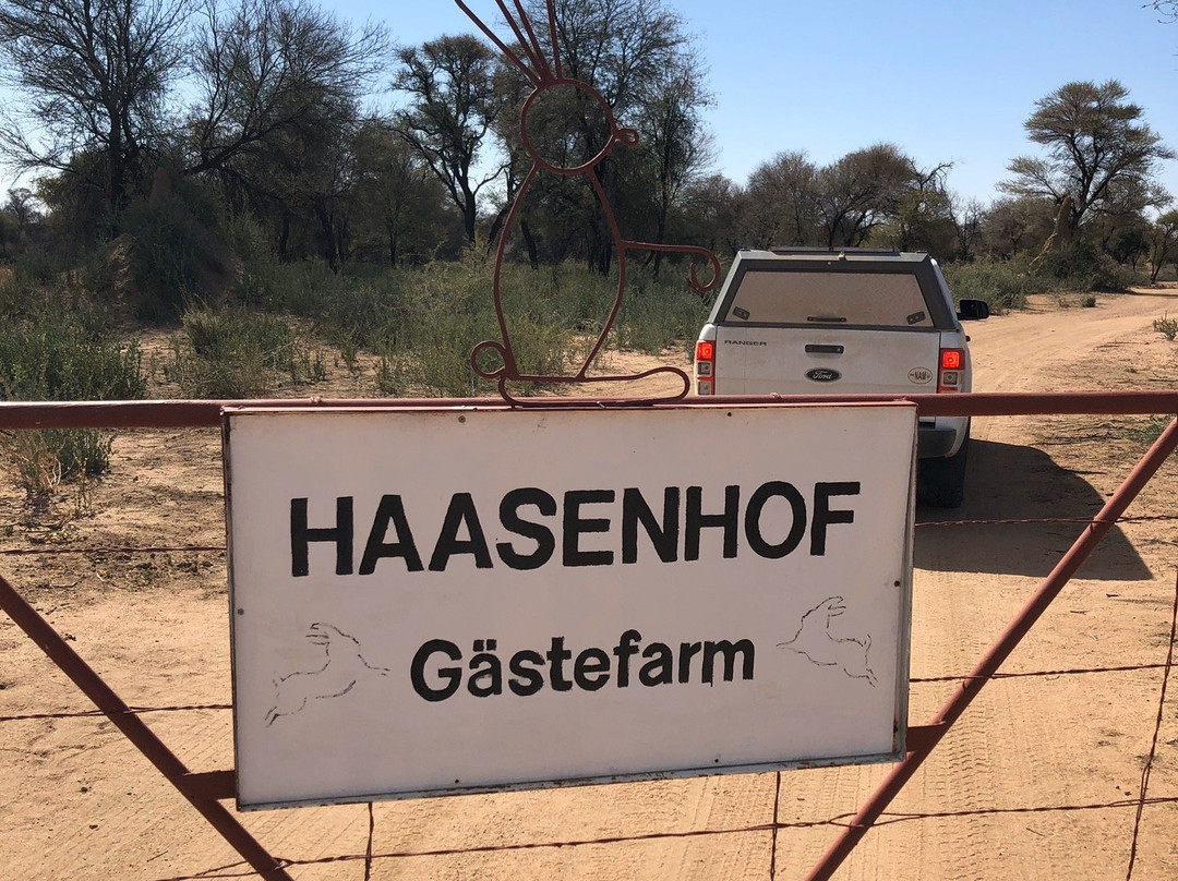 Haasenhof Guestfarm主图