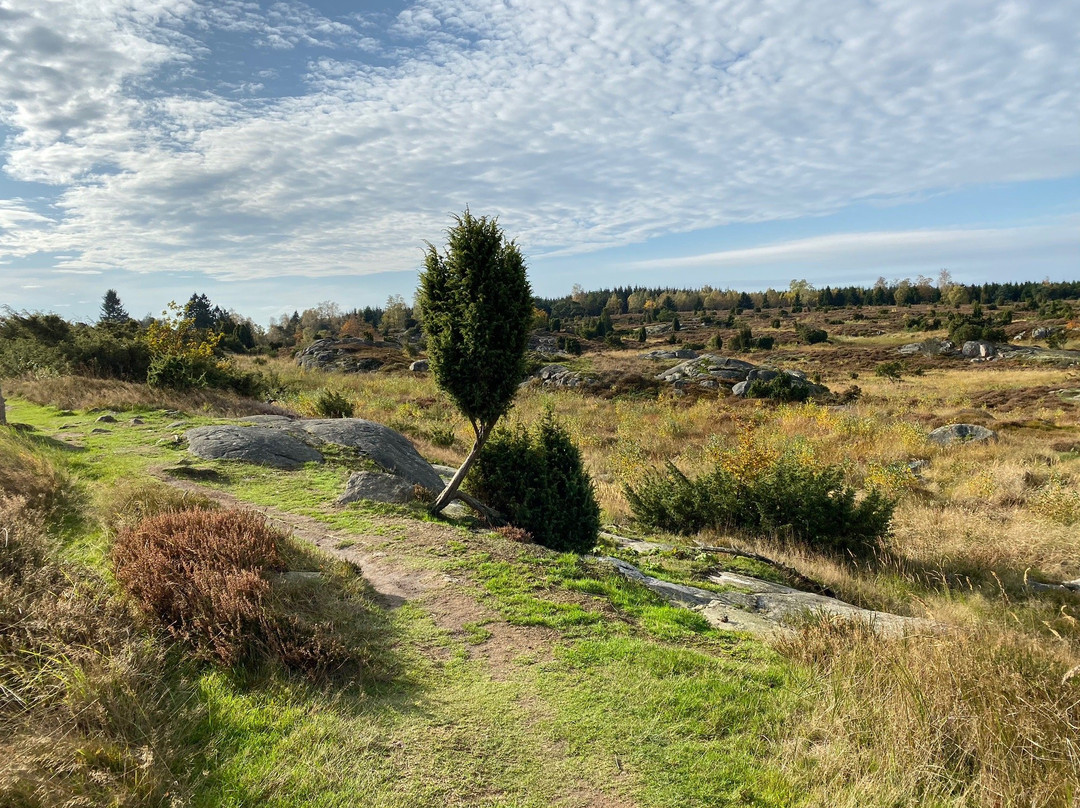 Paradisbakkerne Bornholm-斯瓦讷克必去景点