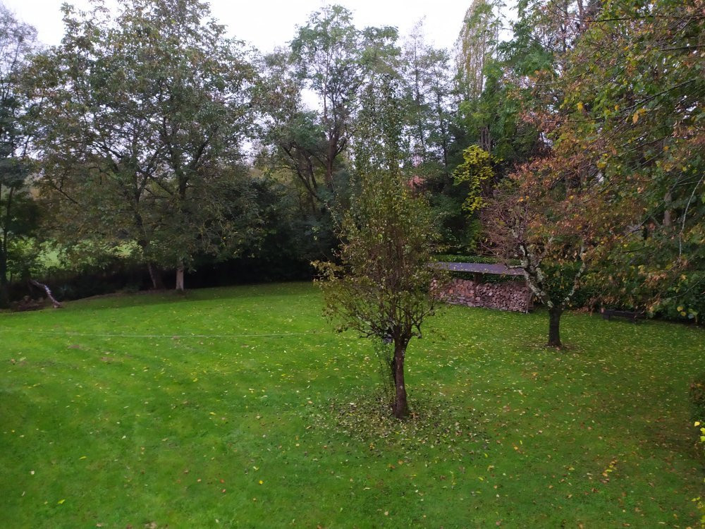 B&B Au Moulin 1771主图