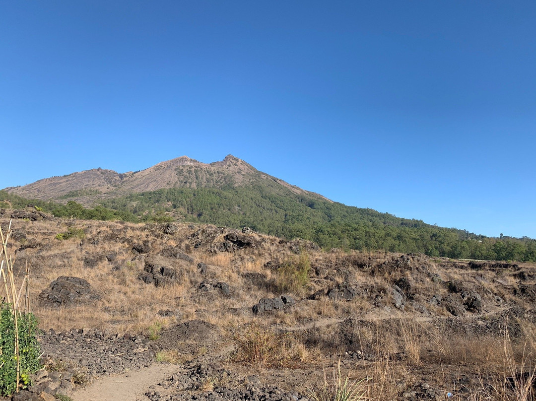 Nanta Bali Tours-孟格威必去景点