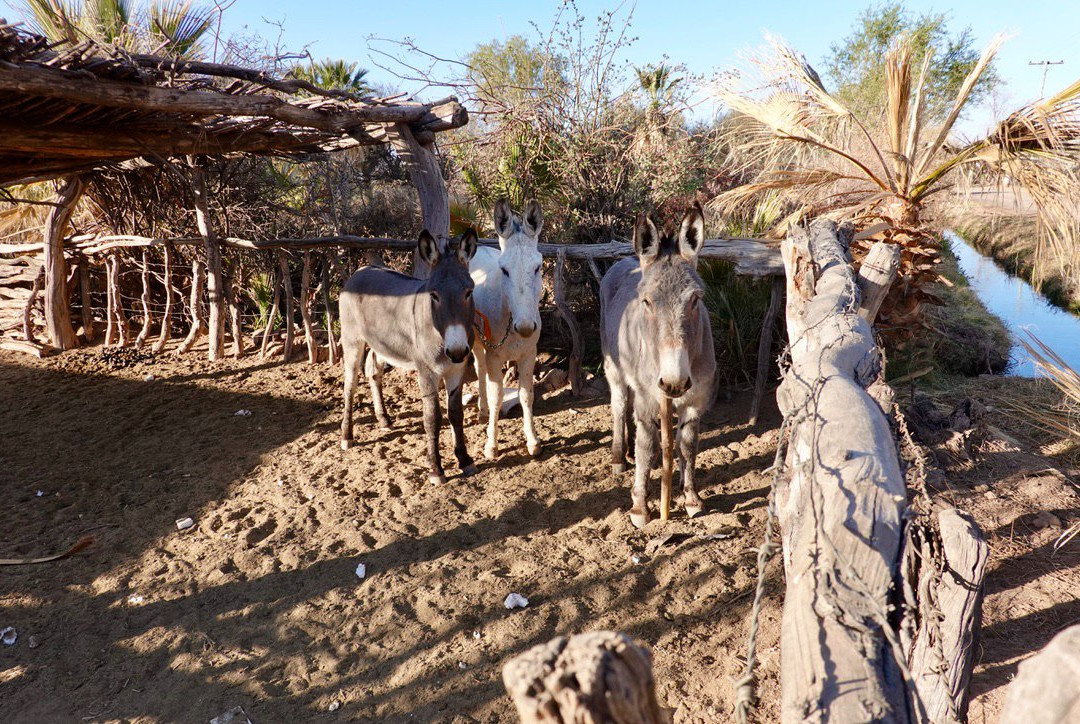 Hosteria Huaco San Juan主图