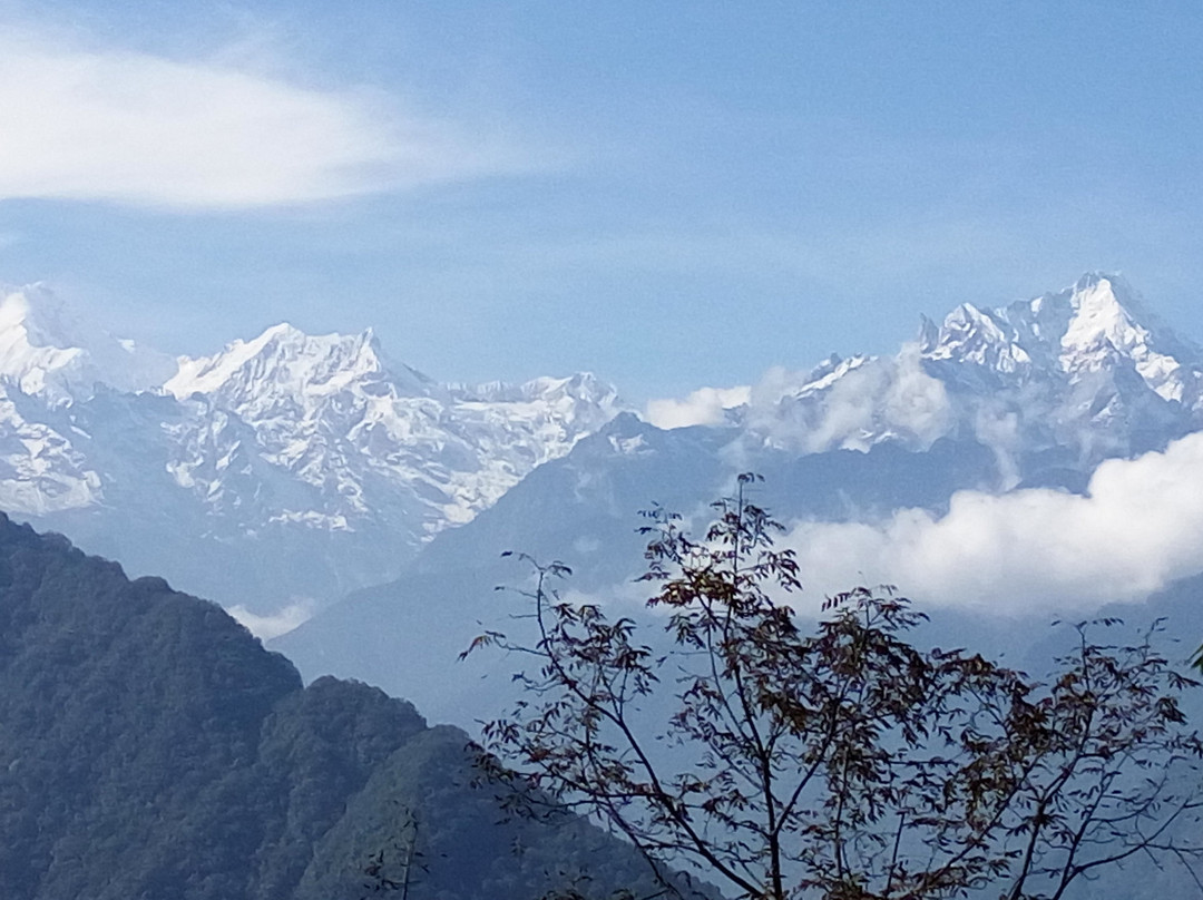 The Planters Home主图