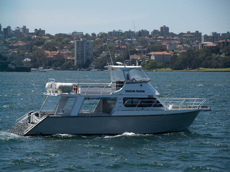 Sydney Charter Boat-悉尼必去景点