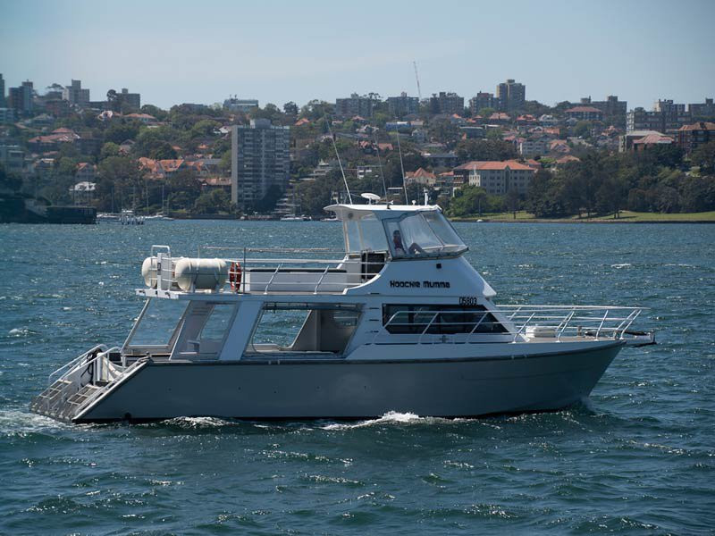 Sydney Charter Boat景点图片