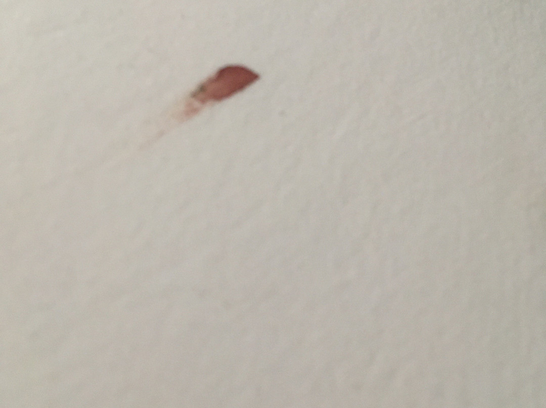 Super 8 by Wyndham Childress主图