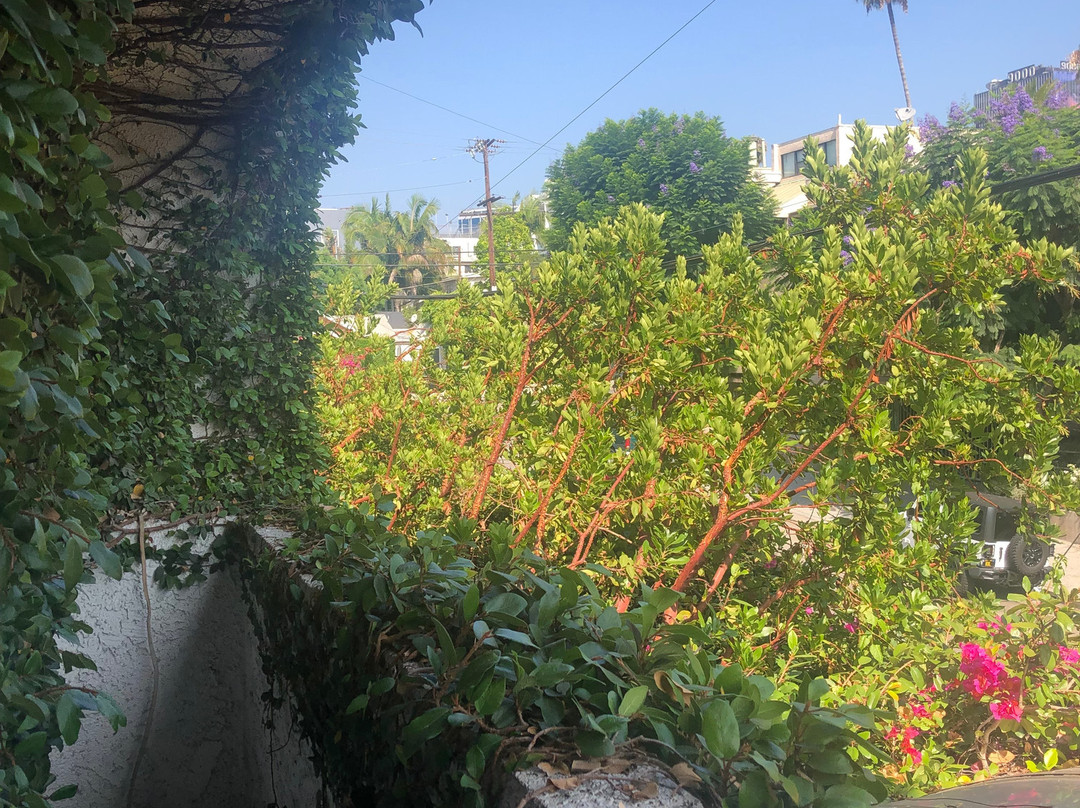 贝提艾米塔基酒店主图