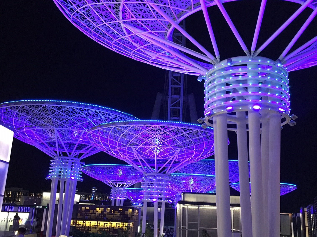 Blue Waters Marine-迪拜必去景点