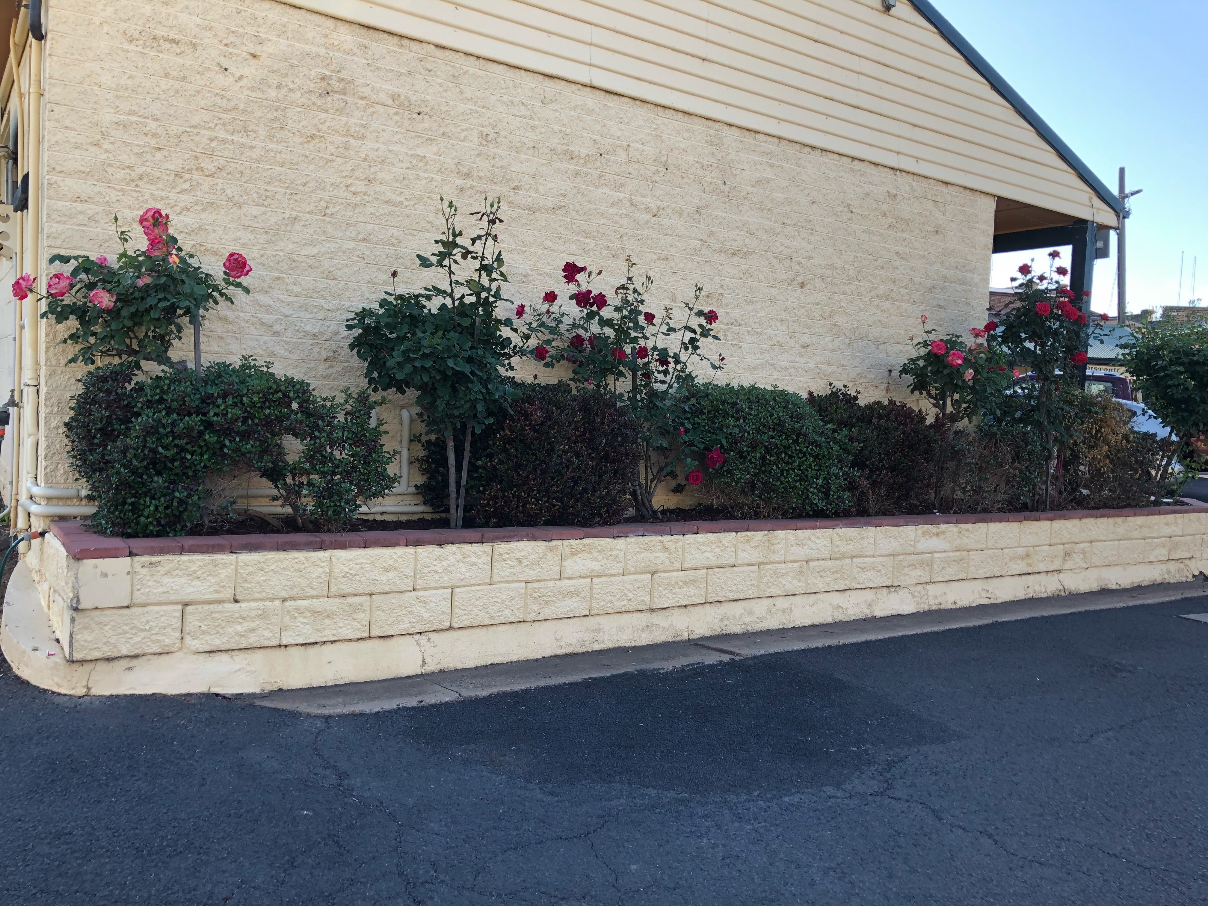 Ten Dollar Town Motel-浴室