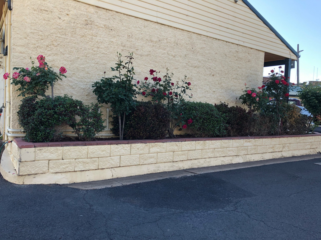 Ten Dollar Town Motel主图