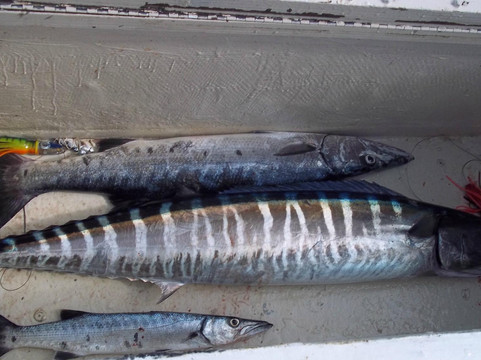 Legacy Fishing Charters-布里奇顿必去景点