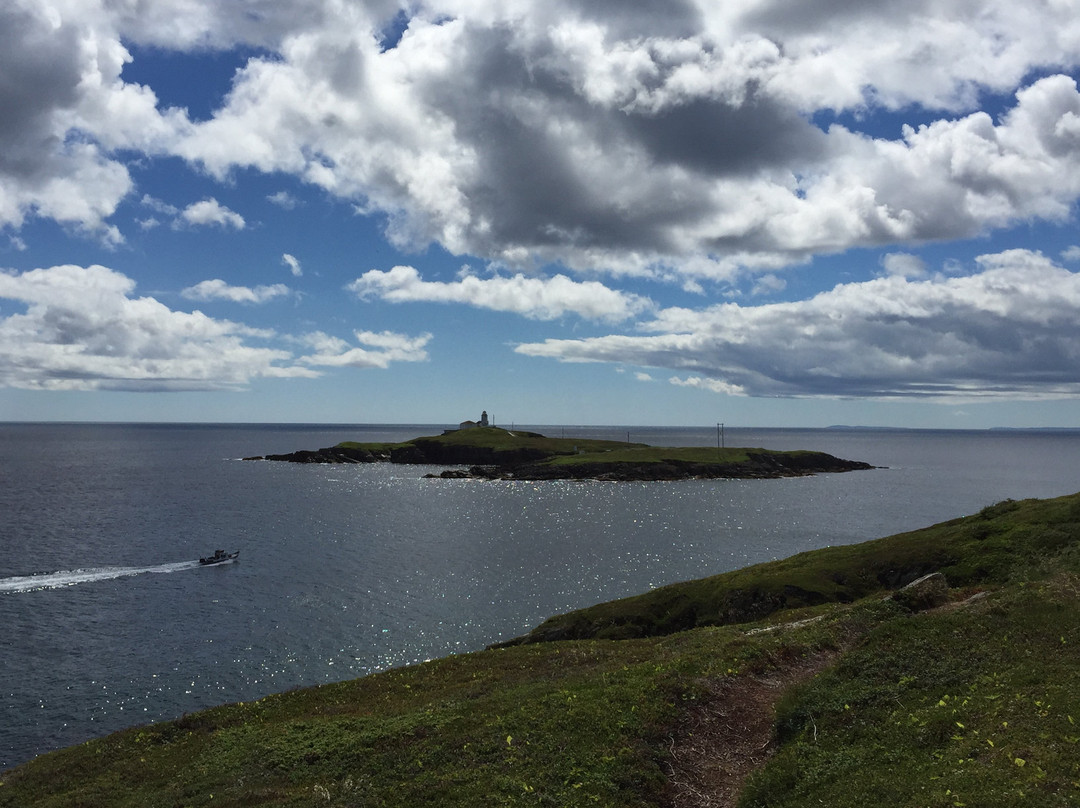 Murphy's Cove Trail景点图片