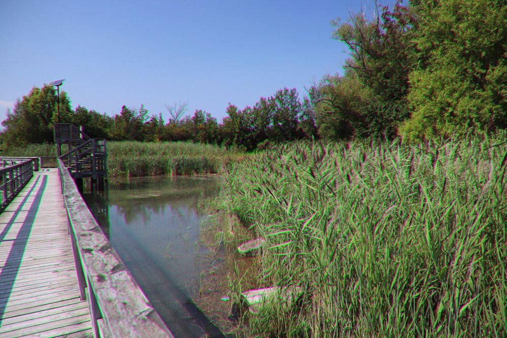 Mel Swart Lake Gibson Conservation Park