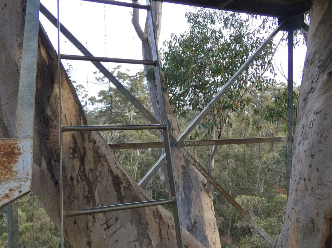 Warren National Park-彭伯顿必去景点