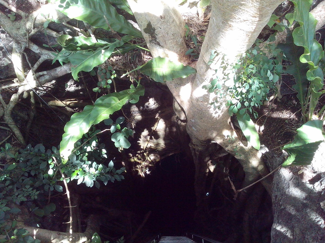 Cenote Kampepen景点图片