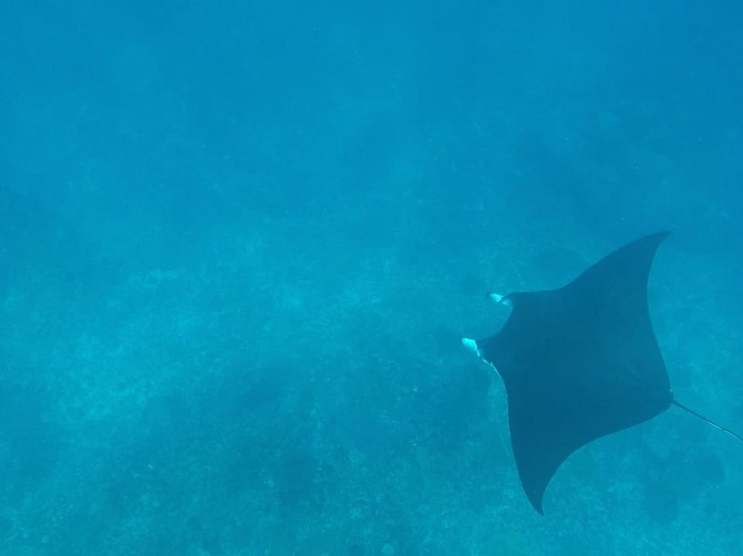 Lembongan Excursion-珀尼达岛必去景点